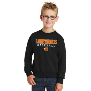 Barnstormers BB Youth Fleece Crewneck Sweatshirt-Black