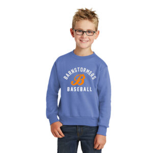 Barnstormers BB Youth Fleece Crewneck Sweatshirt-Carolina Blue