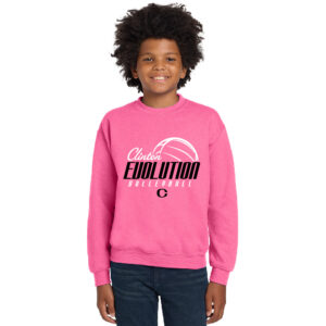 Clinton Evolution VB Youth Fleece Crewneck Sweatshirt-Safety Pink