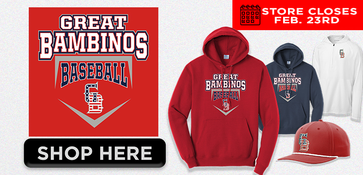 Read more about the article GREAT BAMBINOS BASEBALL 2026