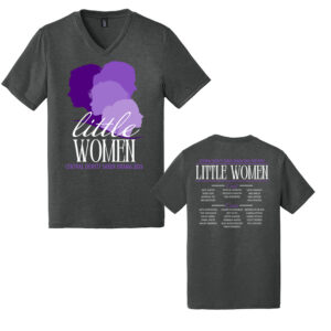 CD Little Women District Made Mens Perfect Tri V-Neck Tee-Black Frost