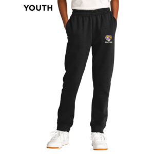 Dewitt Soccer Youth Fleece Jogger-Black