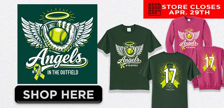 Read more about the article ANGELS IN THE OUTFIELD 2026