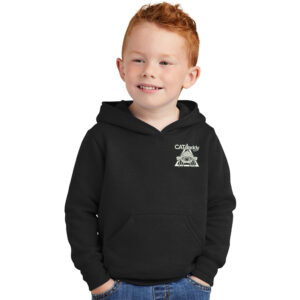 Cat Daddy Toddler Pullover Hooded Sweatshirt-Black
