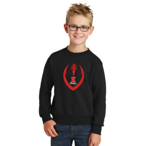 DM East Football Youth Fleece Crewneck Sweatshirt-Black