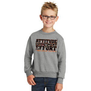Tiger JR Football Youth Fleece Crewneck Sweatshirt-Athletic Heather