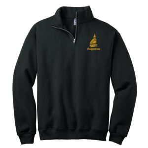 Augustana Maintenance JERZEES Unisex Nublend Cadet Collar Sweatshirt-Black