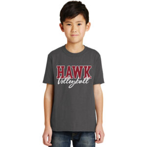 SH Volleyball Youth Short Sleeve T Shirt – Charcoal