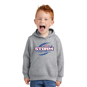 Camanche FB Precious Cargo Toddler Pullover Hooded Sweatshirt – AthleticHeather