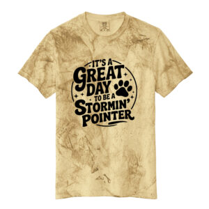 CPU Comfort Colors Unisex Heavyweight Color Blast Tee-Citrine