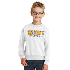 DN Volleyball  Youth Crewneck Sweatshirt – White