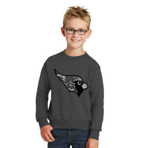 Maq JR Football Youth Fleece Crewneck Sweatshirt-Charcoal