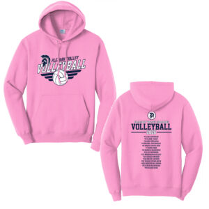 PV Volleyball Unisex Classic Core weight Cozy Pullover Hooded Sweatshirt – Candypink