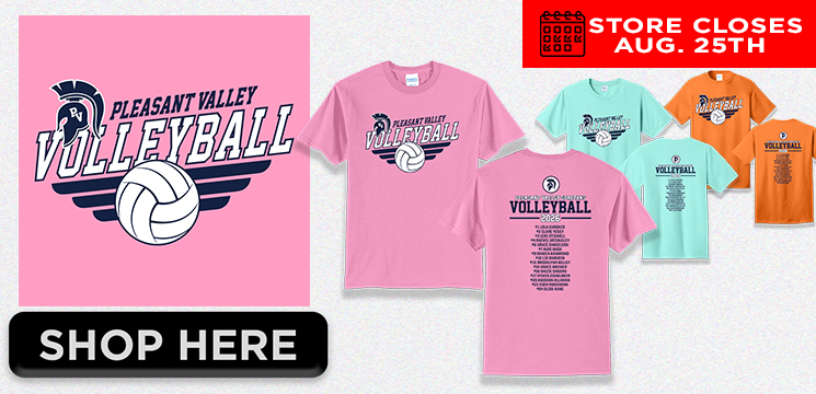 Read more about the article PLEASANT VALLEY VOLLEYBALL FALL 2026