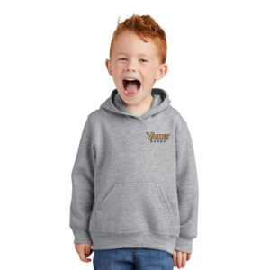 WDM Valley Bands Precious Cargo Toddler Pullover Hooded Sweatshirt -Athletic Heather