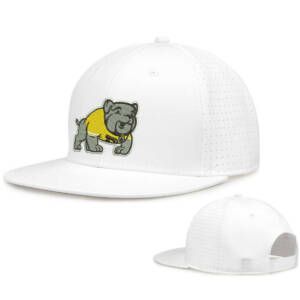 Borlaug Elementary The Game Perforated GameChanger Snapback Cap-White