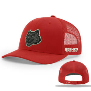 Hermes Elementary Richardson Pro Crown Mesh Back solid color Adjustable back cap Solid-Red