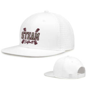 Steam Softball The Game Perforated GameChanger Snapback Cap – White
