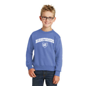 Barnstormers BB  Youth Crewneck Sweatshirt – Carolina Blue