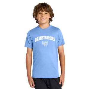 Barnstormers BB Nike Youth Swoosh Sleeve rLegend Tee – ValorBlue