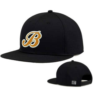 Barnstormers BB The Game Perforated GameChanger Snapback Cap – Black
