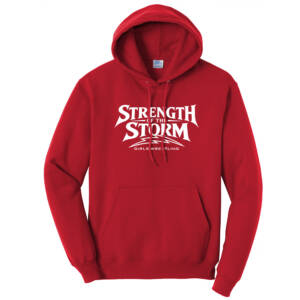 Camanche Girls Wrestling Unisex Classic Core weight Cozy Pullover Hooded Sweatshirt – Red