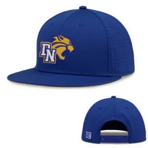 DN AAU Wrestling The Game Perforated GameChanger Snapback Cap-Royal