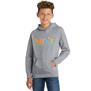 Mini Movement  Youth Fan Favorite Hooded Sweatshirt – AthleticHeather