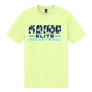 Platform Elite VB Unisex clothing District Perfect Tri blend Crew Tee – Lemongrass